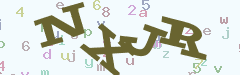 验证码